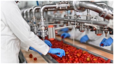 Food processing is here to stay. Credit: Getty / AleksandarGeorgiev