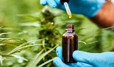 The FSA recommends adults limit their CBD consumption to 10mg a day. Image: Getty, Morsa Images