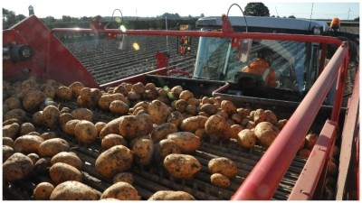 Morrisons is trialling a scheme where it covers 100% of the costs associated with growing crops at four farms