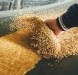 Grains on conveyor