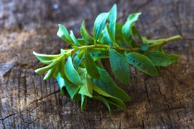 It has been long known that antioxidants are present in stevia plants